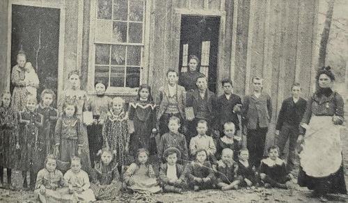 viola school mcleod 1900